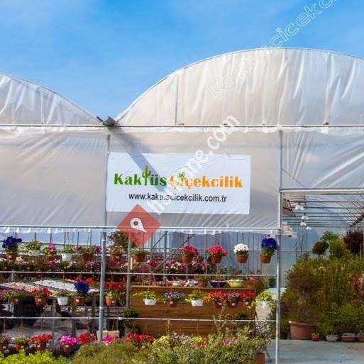Kaktüs Çiçekçilik