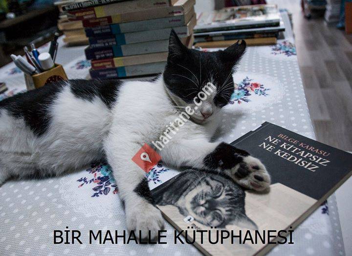 Kara Kedi Kitap Evim