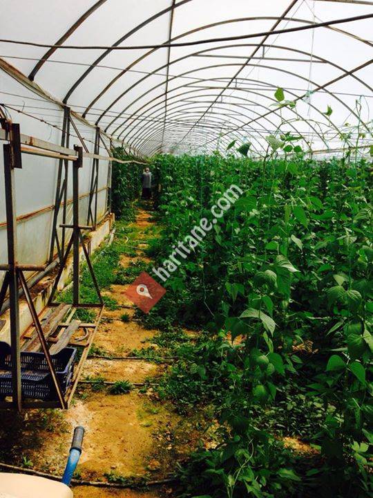 Karabulut Gida tarım turizm emlak mühendislik