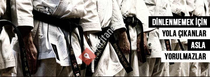 Karate Turkey