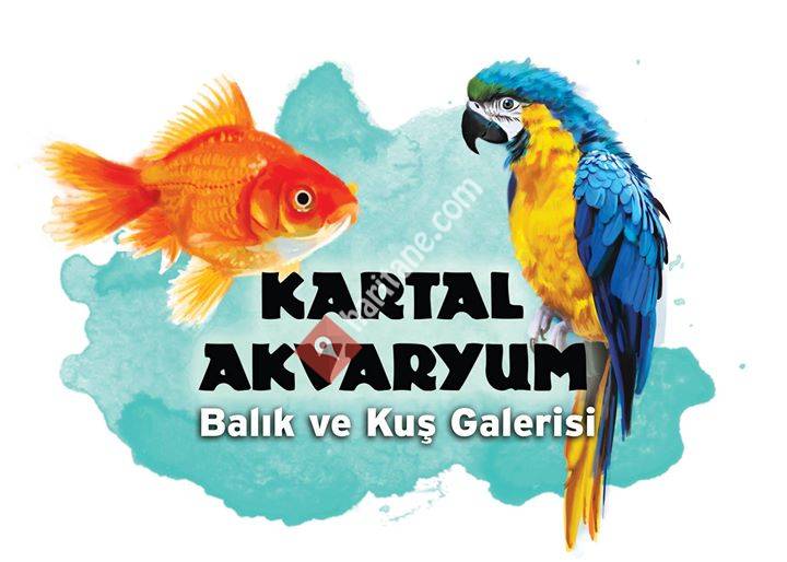 Kartal Akvaryum, Balık Ve Kuş Galerisi