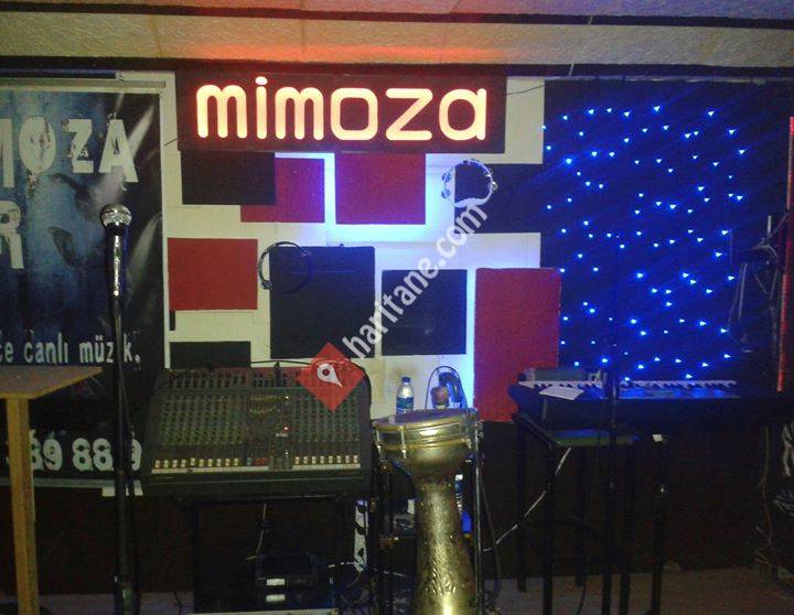 Kartal Mimoza Bar