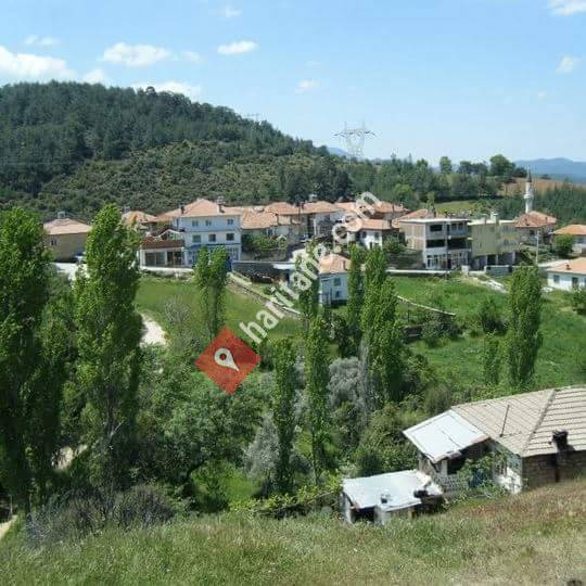 Kavaklıdere Ortaköy  Köyü. Tarım kooperatifi