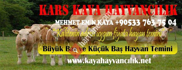Kaya Hayvancılık Mehmet Emin Kaya 0533 763 75 04