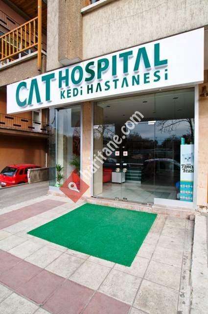 Kedi Hastanesi Cat Hospital