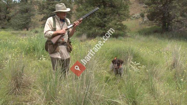 Keklik ve Tavşan Avı