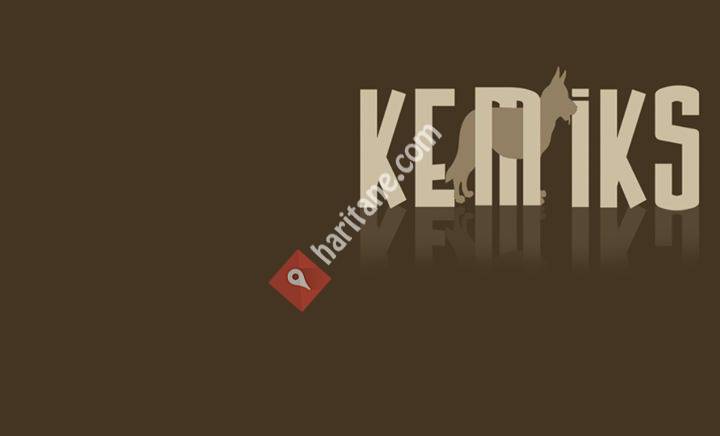 Kemiks Köpek Eğitimi