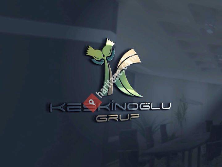 Keskinoğlu Grup