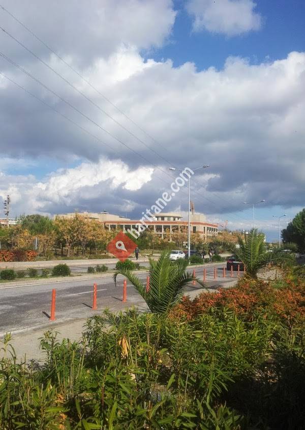 Kimya Mühendisliği - İzmir Yüksek Teknoloji Enstitüsü