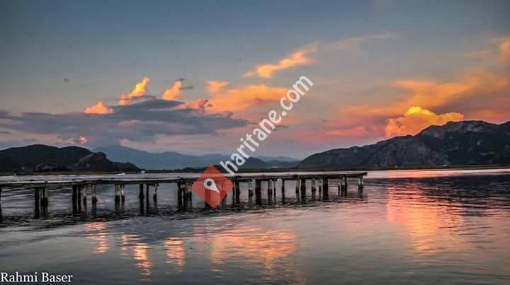 King Emlak Real Estate