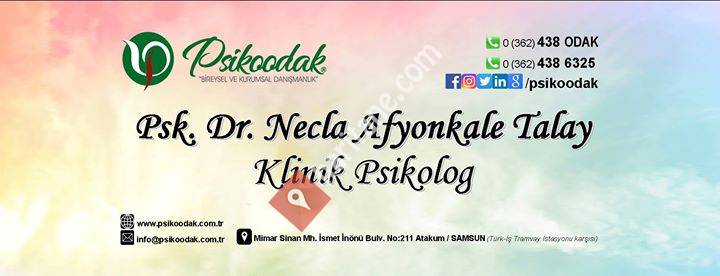 Klinik Psikolog Dr. Necla Afyonkale Talay