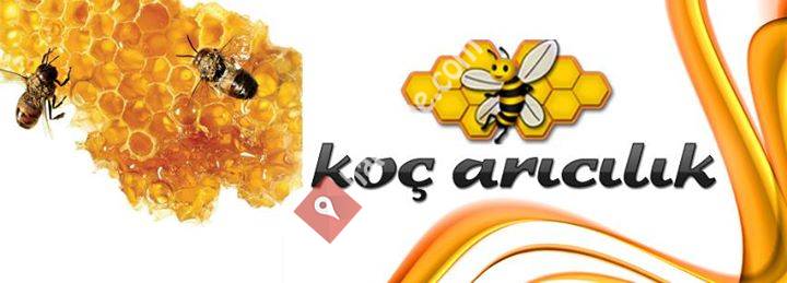 Koç Arıcılık
