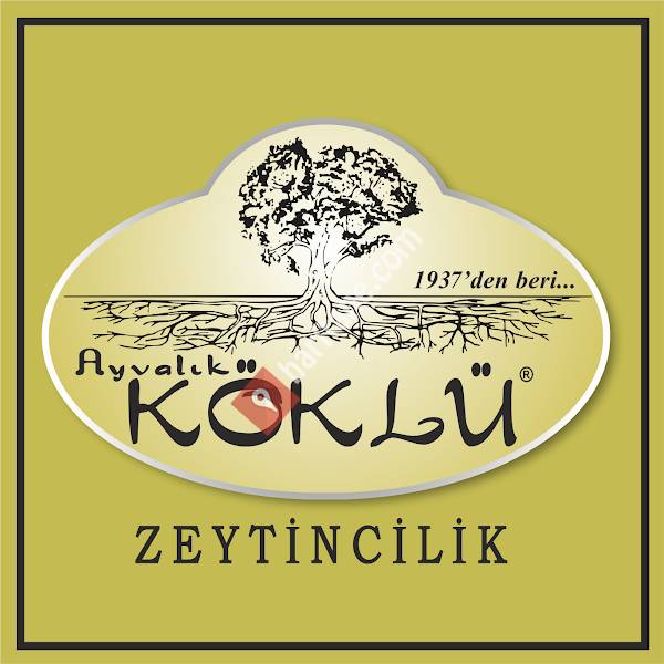Köklü Zeytin Zeytinyağı Ayvalık Satış Mağazası