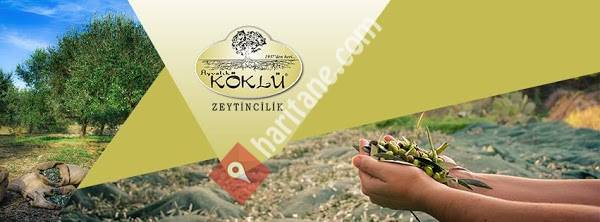 Köklü Zeytin Zeytinyağı Çanakkale Asfaltı Satış Mağazası
