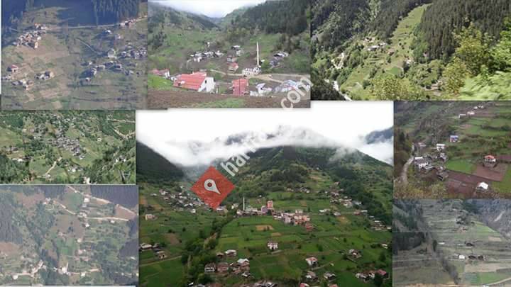 Köknar Köyü Web Platformu