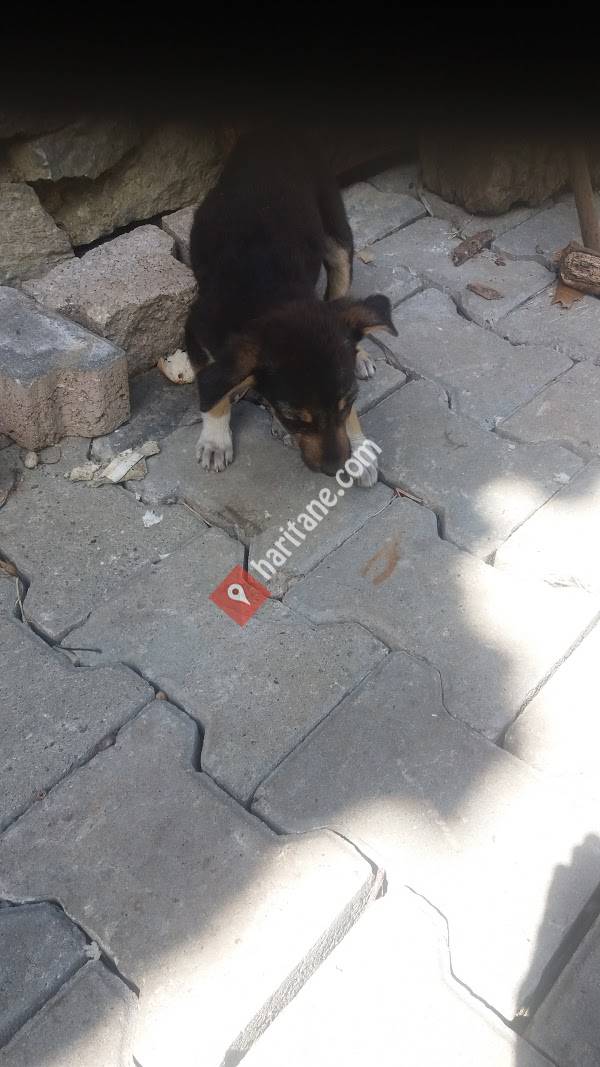 Korkmaz Fabrika - Kandıra