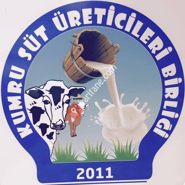 Kumru İlçesi Süt Üreticileri Birliği