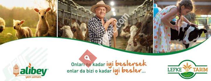 Lefke Tarım Hayvancılık Gıda Sanayi ve Ticaret A.Ş.