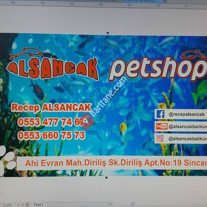 Lepistes cesitleri ve Kafalı Yunus Ciklet ceşitleri