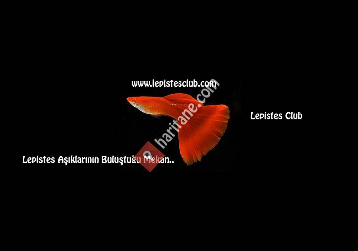 Lepistes Club