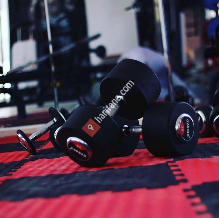 Limitless Gym & Wellness Club