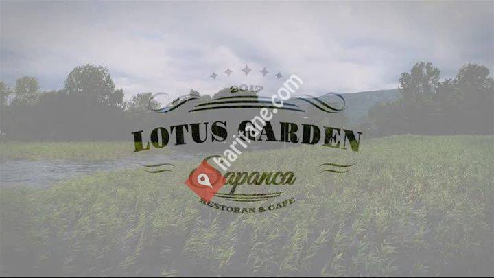 Lotus Garden Sapanca