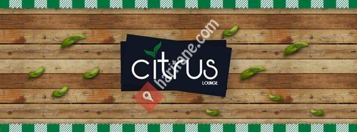 Lounge Citrus