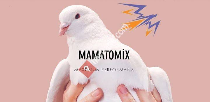 Mamatomix