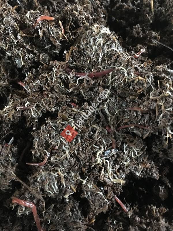 Marmara Biosolucan Tarım Hizmetleri