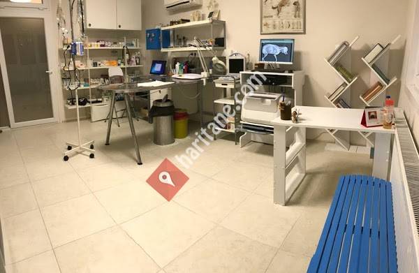 Mavişehir Veteriner Klinik