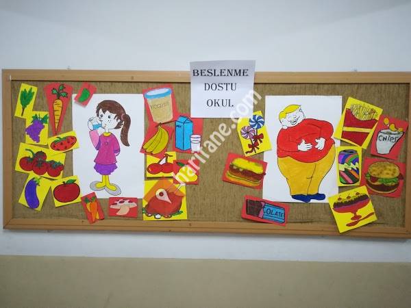 Mehmet Zumra Kuş Ortaokulu