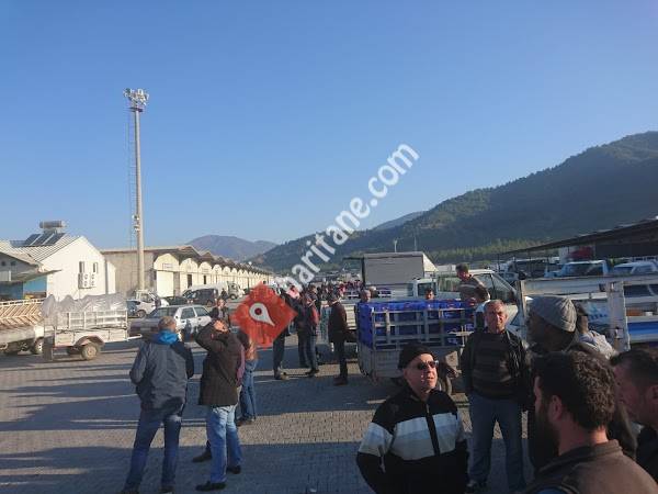 Meri Global Group Fethiye