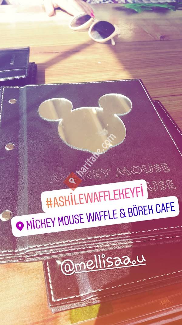 Mickey Mouse Waffle House