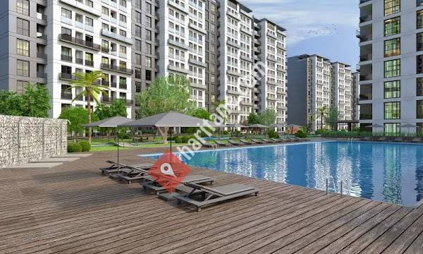 Milpark Plus