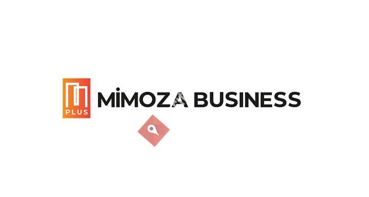 Mimoza Business Plus