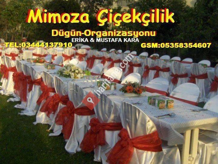Mimoza Çiçekçilik & Organizasyon