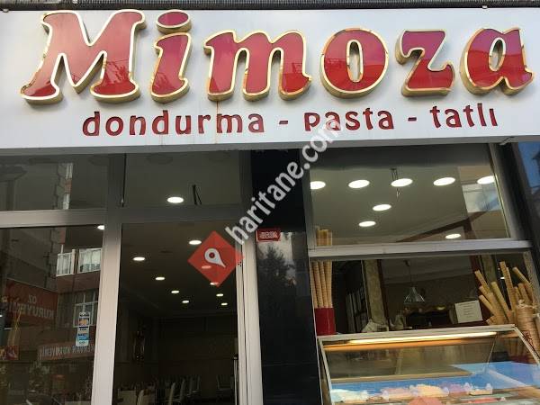 Mimoza Pastanesi