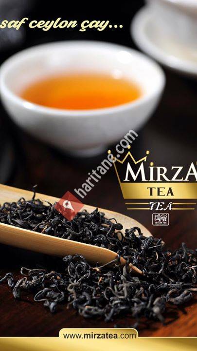 Mirza Tea
