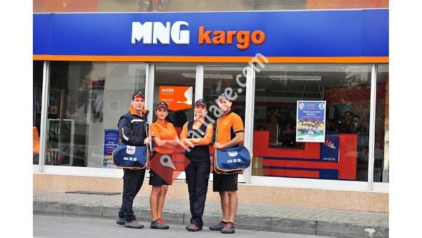 Mng Kargo - Organize