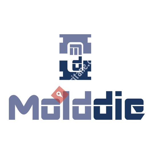 Molddie Plastik ve Kalıp İml San Tic Ltd Şti