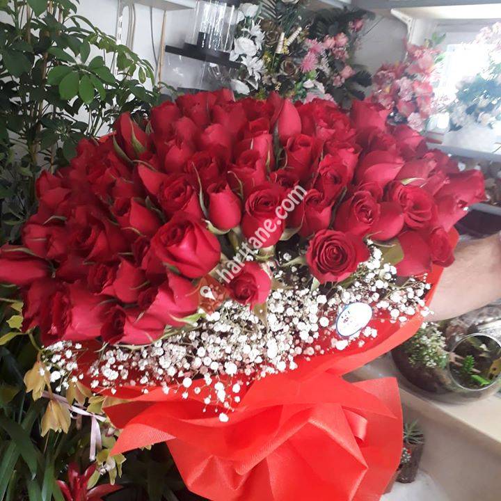 MUĞLA BEĞEN ÇİCEK