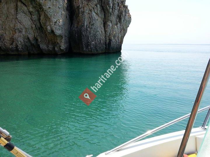 NaturaBungalows Mecidiye Köyü İbrice Liman Yolu Üzeri