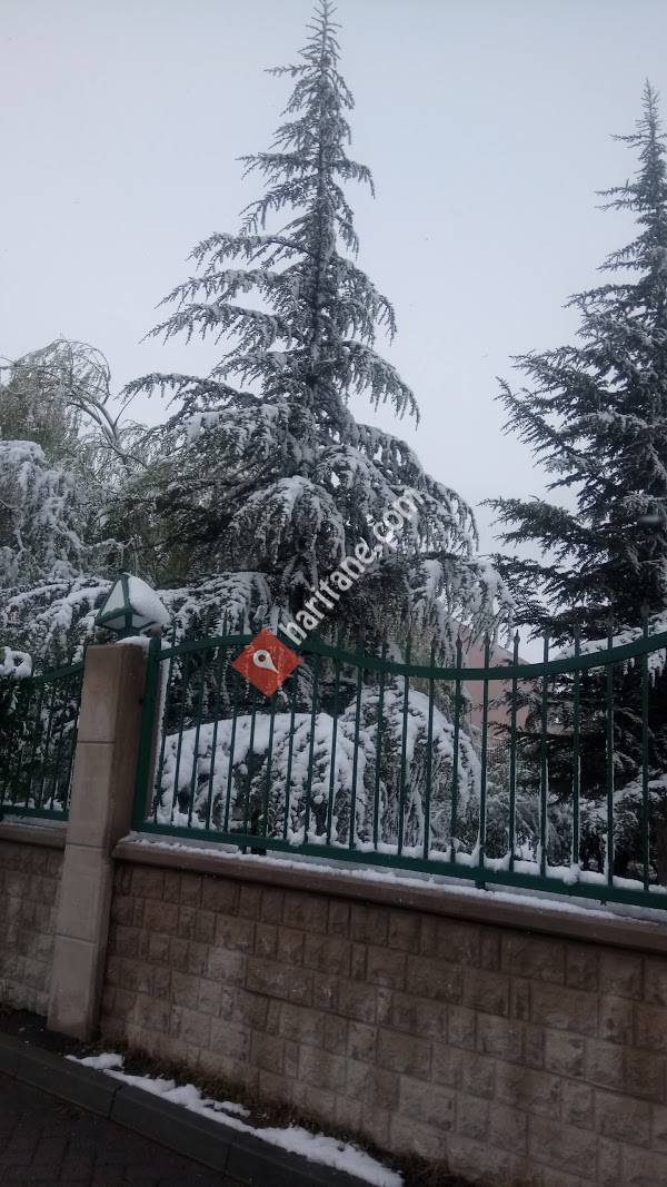 Necip Fazıl Kısakürek Ortaokulu Eskişehir