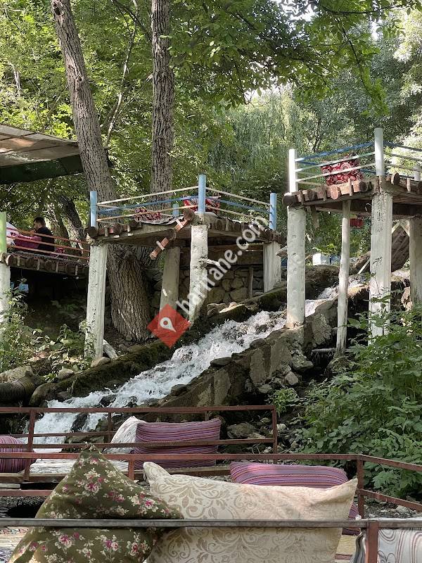 Nehri Masi Alabalik Tesisleri