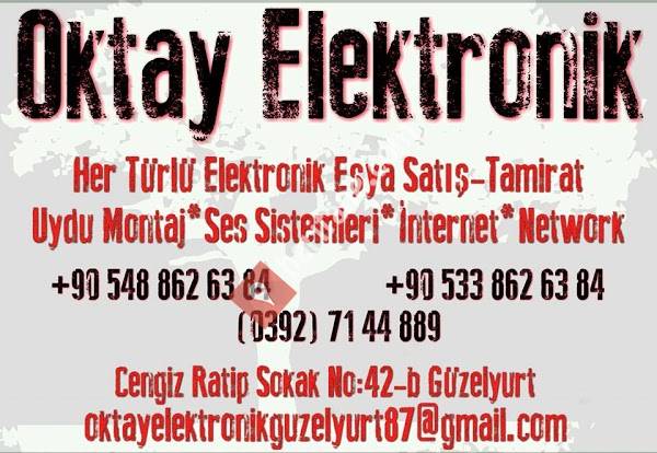 Oktay Elektronik