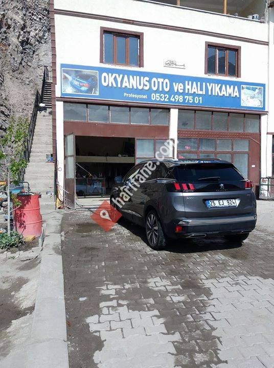 Okyanus oto ve halı yıkama