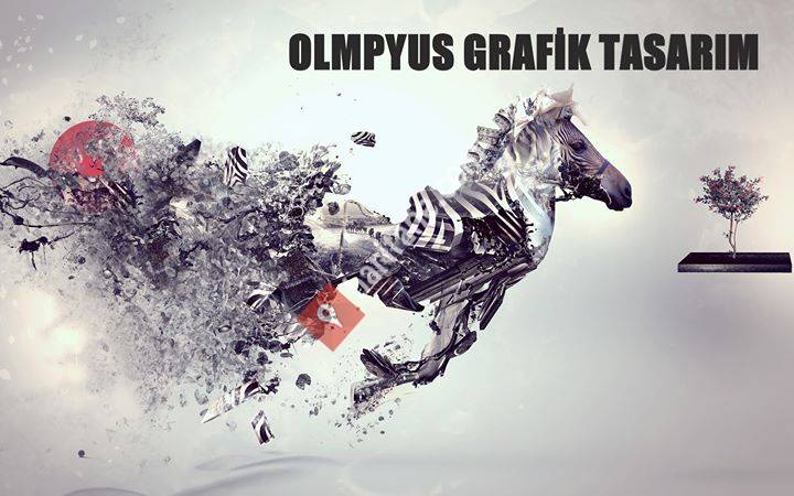 Olmpyus Grafik Tasarım