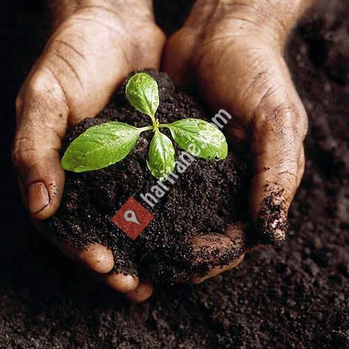 Onaysol Organik Solucan Gübresi