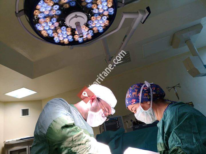 Op. Dr. Özer Ural Çakıcı