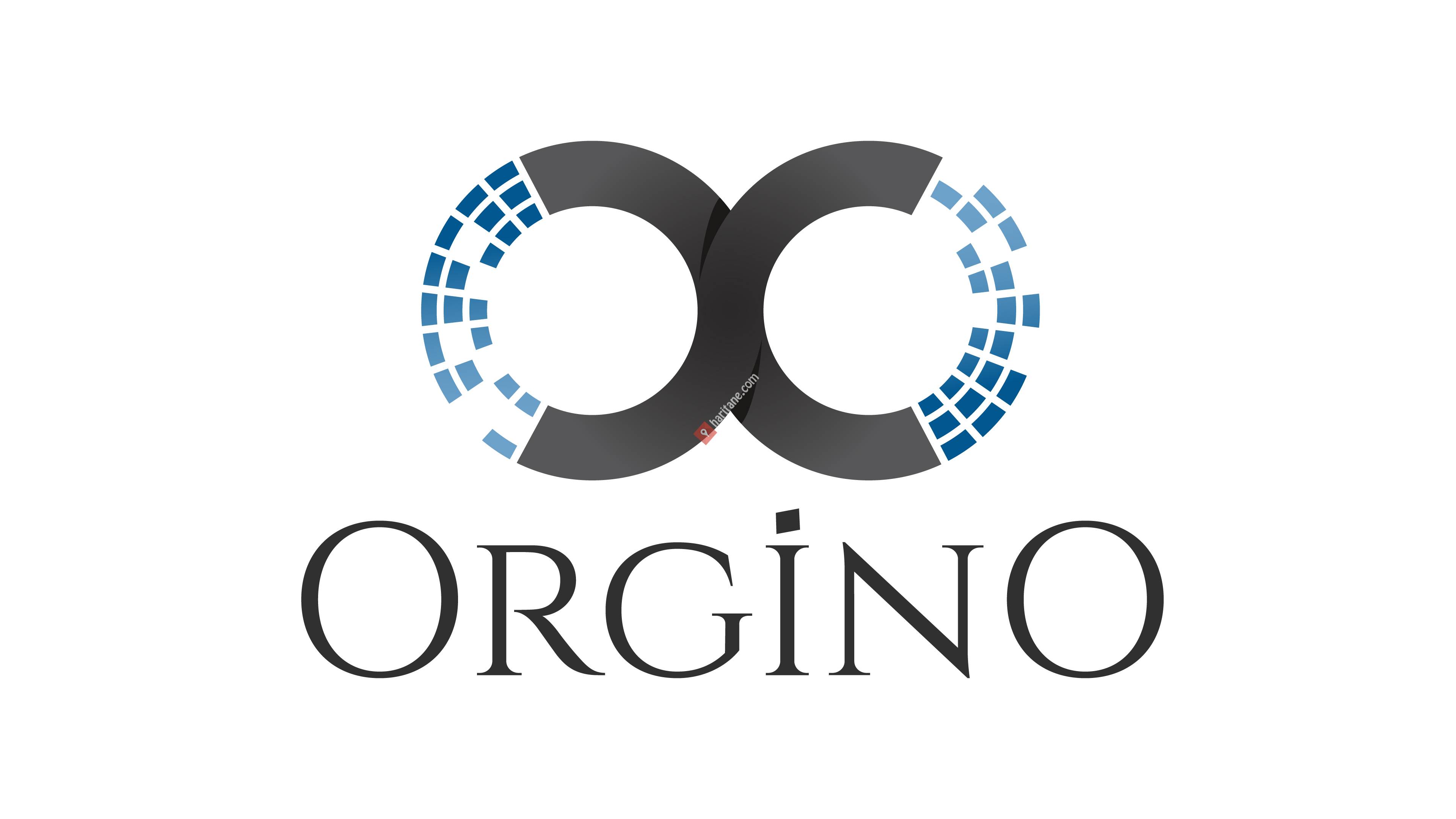 ORGİNO MEDYA TEKNOLOJİ HİZMETLERİ